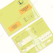 school progress card